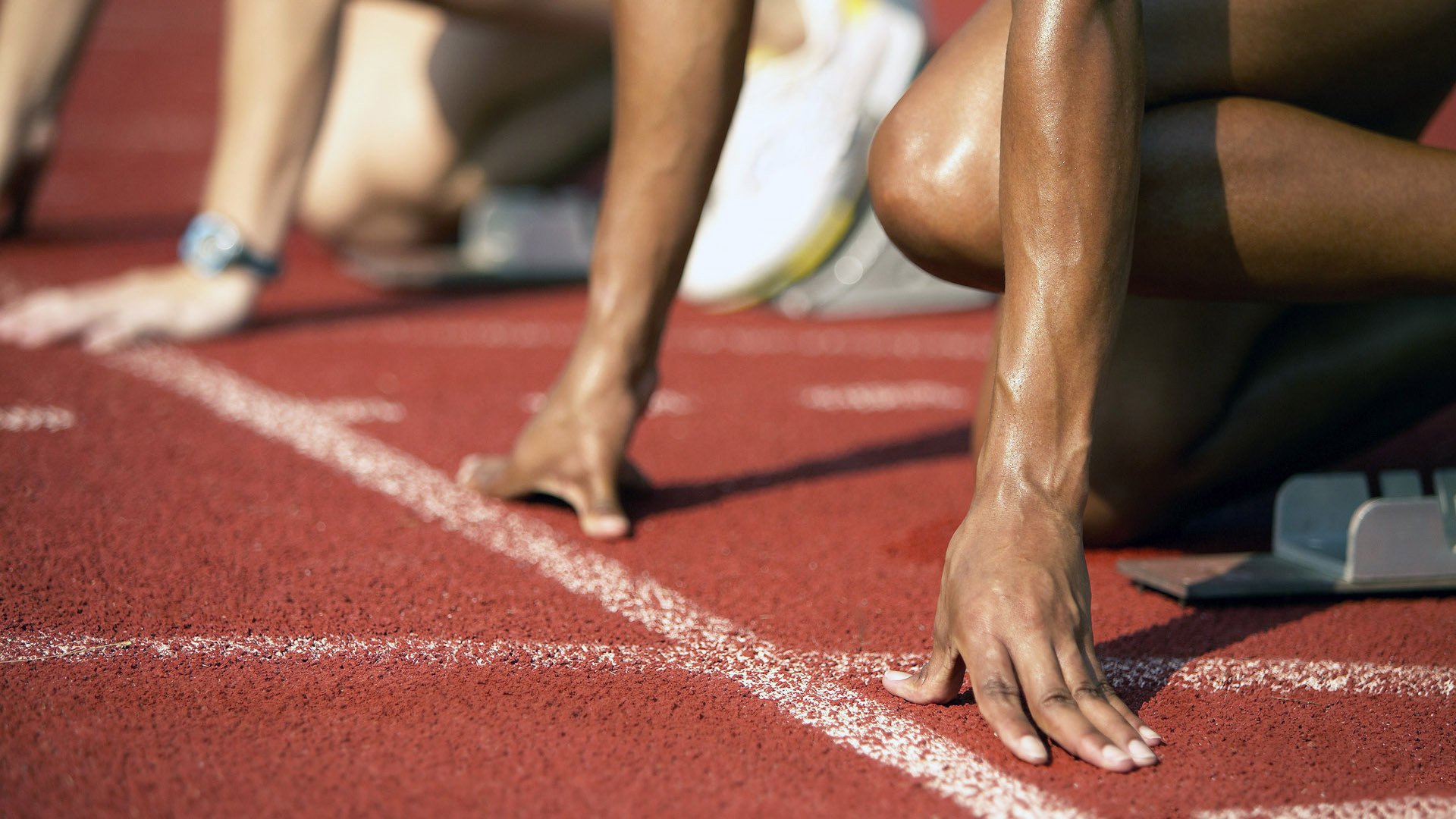 布雷默压力下的战略爆发,埃及如何收割沙特的地缘棋局